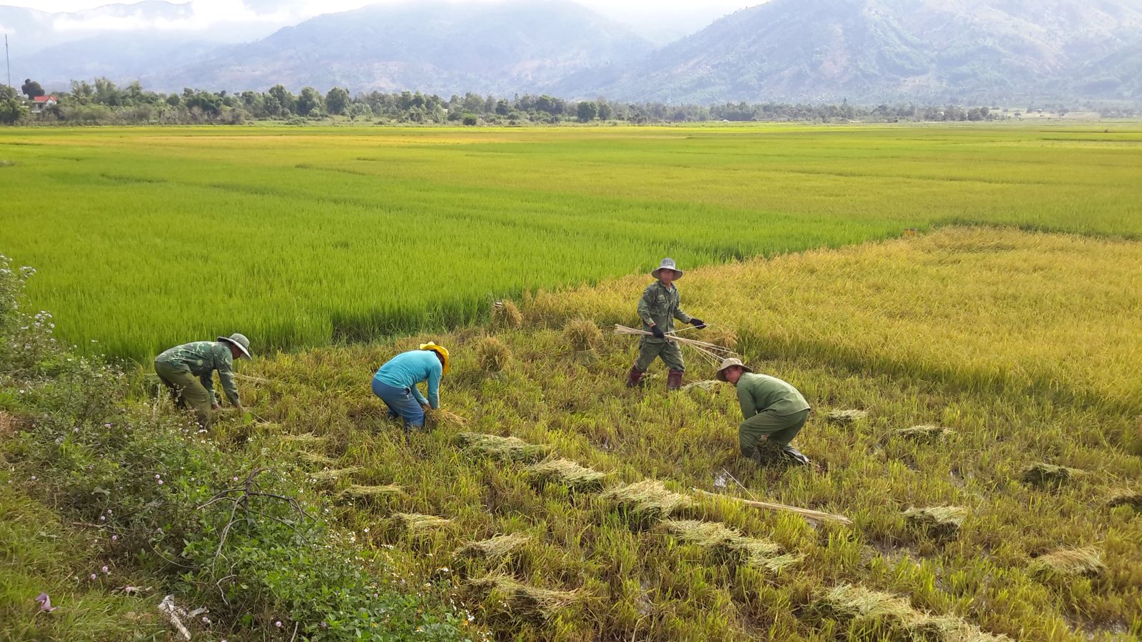 3-Day Dalat to Hoi An Adventure photo