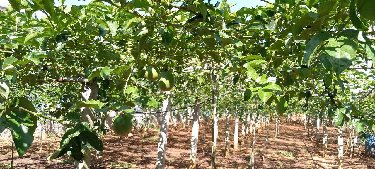 2-Day Dalat to Mui Ne photo