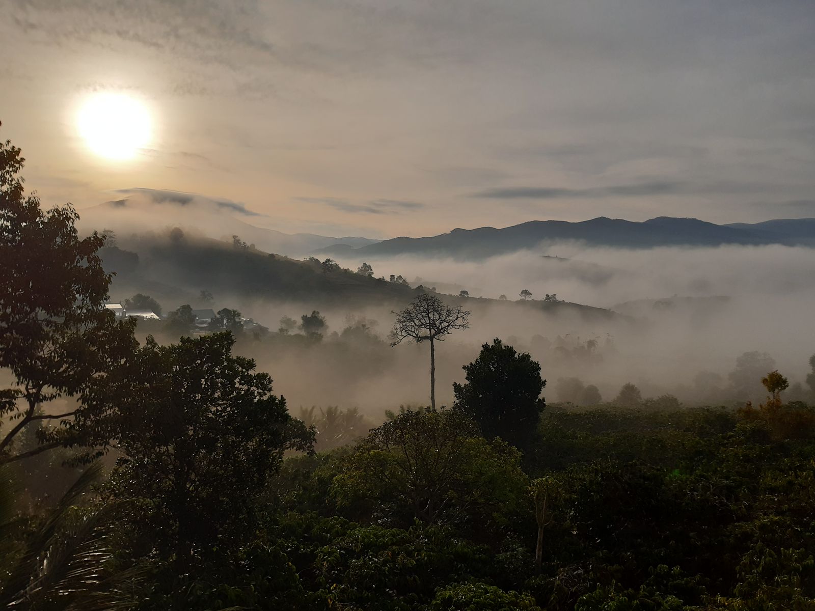2-Day Dalat to Mui Ne photo